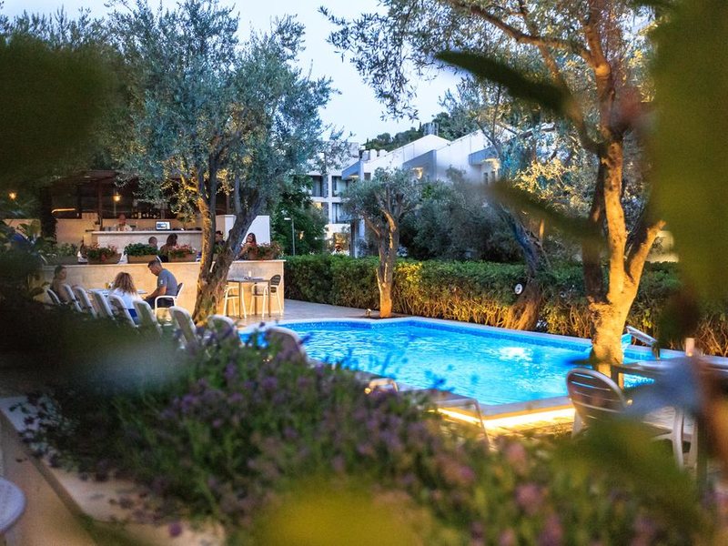 Harmony Hotel 308022