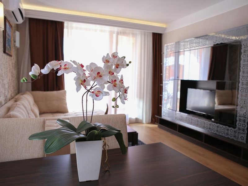 Harmony Palace AH 162572