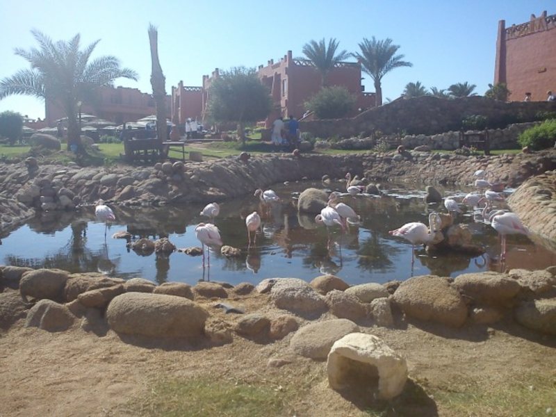 Hauza Mandarin Resort 35810