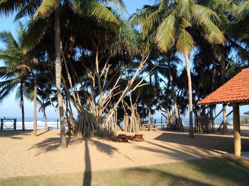Hibiscus Beach Hotel 107687