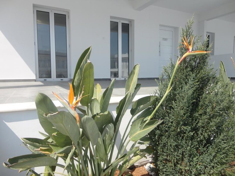 High View Gardens Apartaments 290525