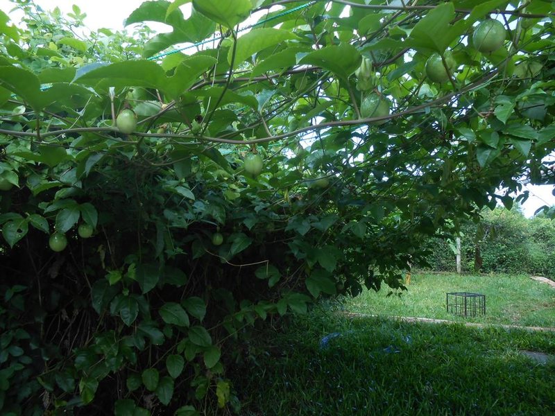 Highland Bungalows 201453