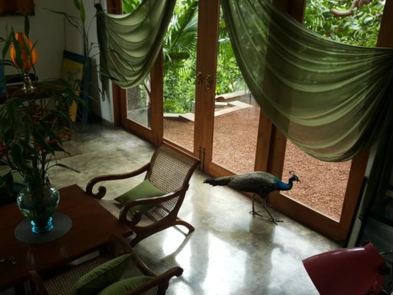 Highland Villa 116441