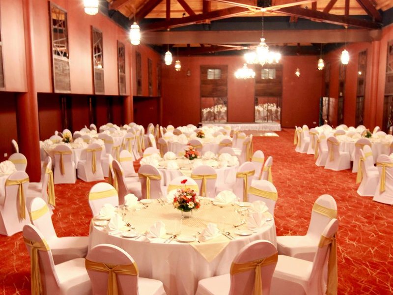 Hikka Tranz by Cinnamon (ex 109700