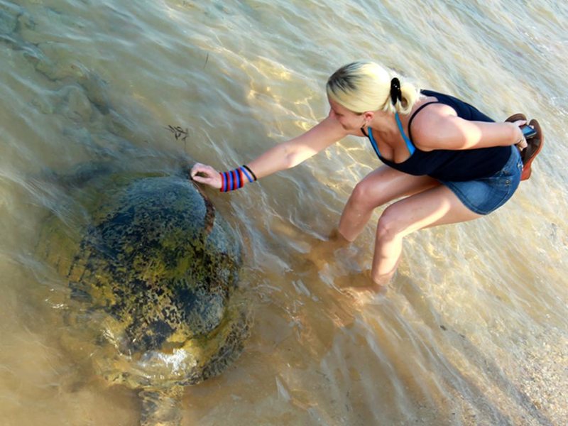 Hikka Tranz by Cinnamon (ex 109703