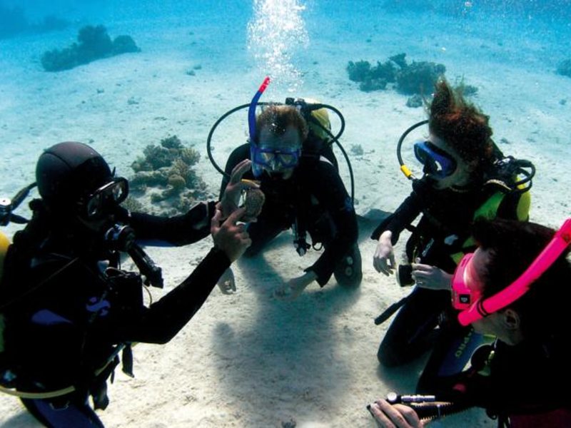 Hillside Beach Club 160546