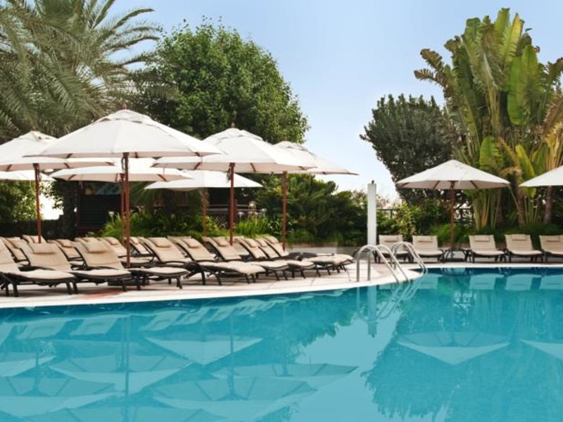 Hilton Dubai The Walk Hotel 53413