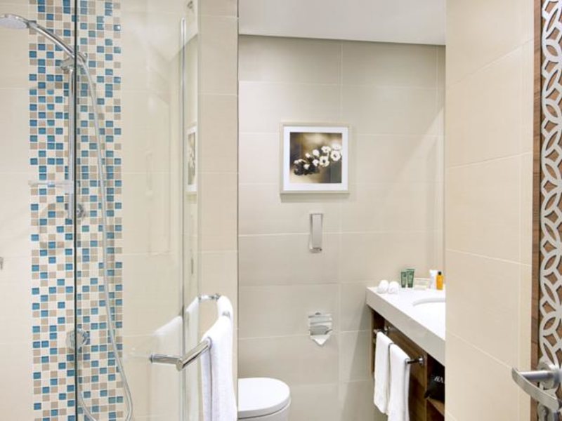 Hilton Garden Inn Dubai Al Mina 117606