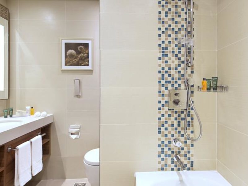 Hilton Garden Inn Dubai Al Mina 117611