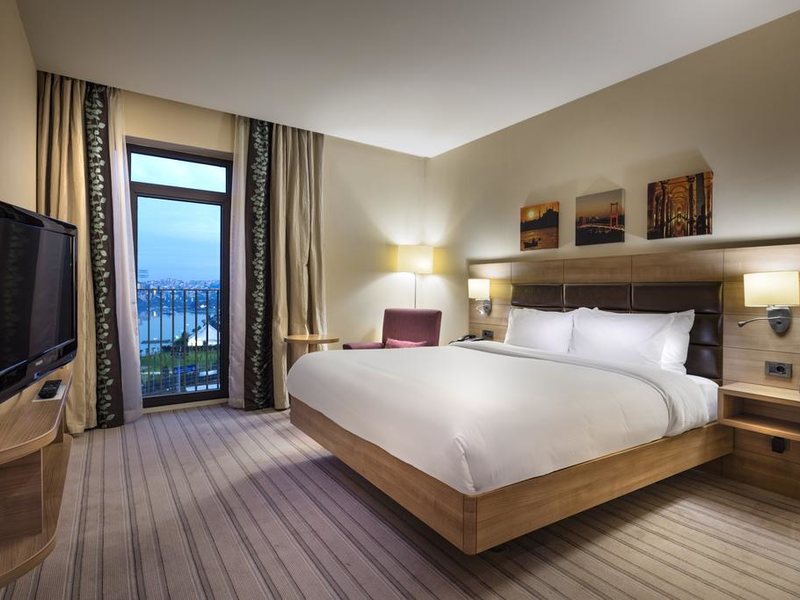 Hilton Garden Inn Istanbul Golden Horn Turkey 301246