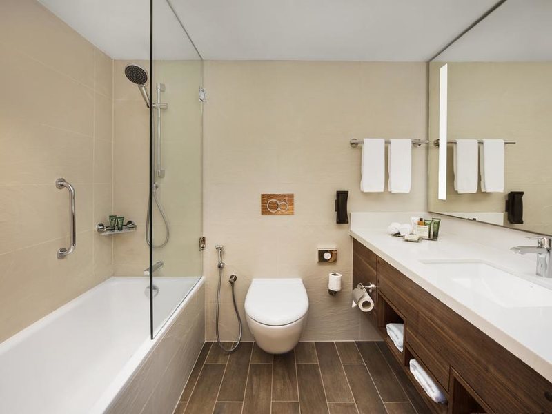 Hilton Garden Inn Ras Al Khaimah 181727