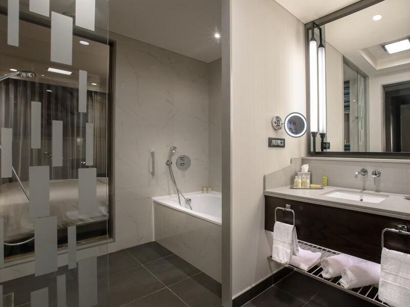 Hilton Istanbul Bakirkoy 301195
