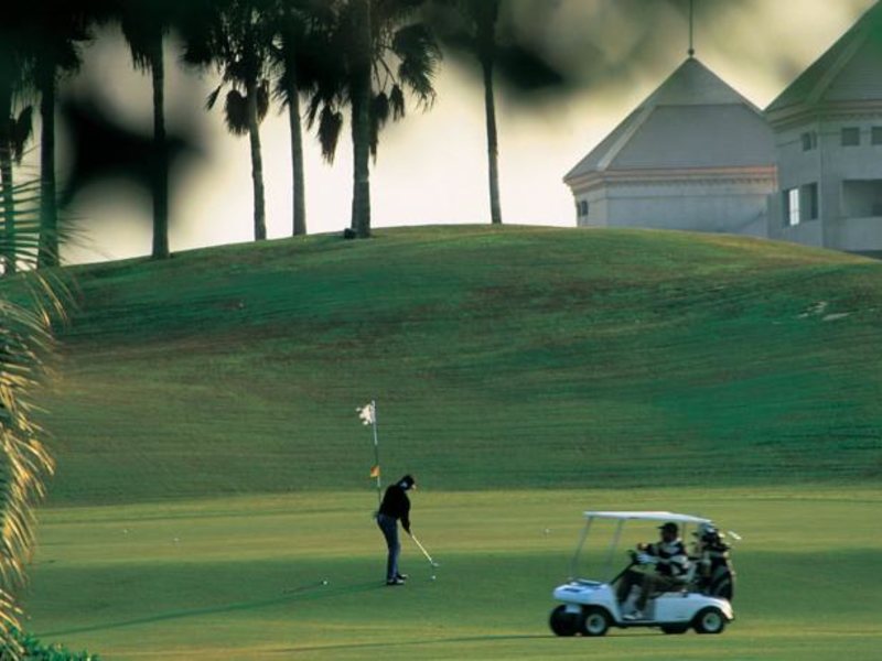 Hilton Pyramids Golf Resort 146952