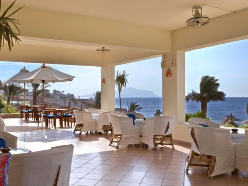 Hilton Sharks Bay 124735