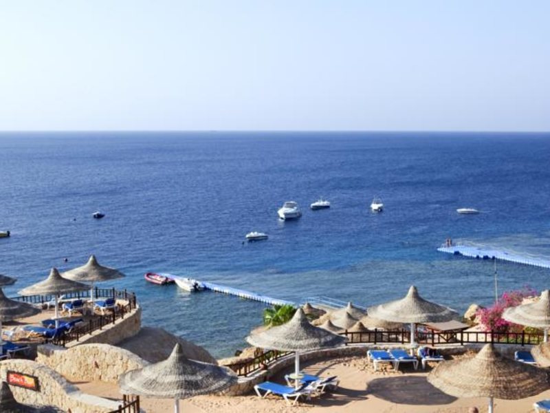 Hilton Sharks Bay 124736