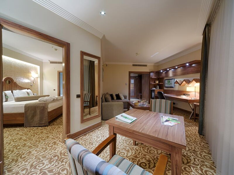 Holiday Inn Bursa 185947