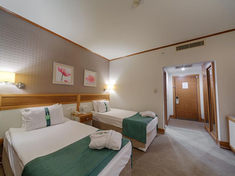 Holiday Inn Bursa 185954
