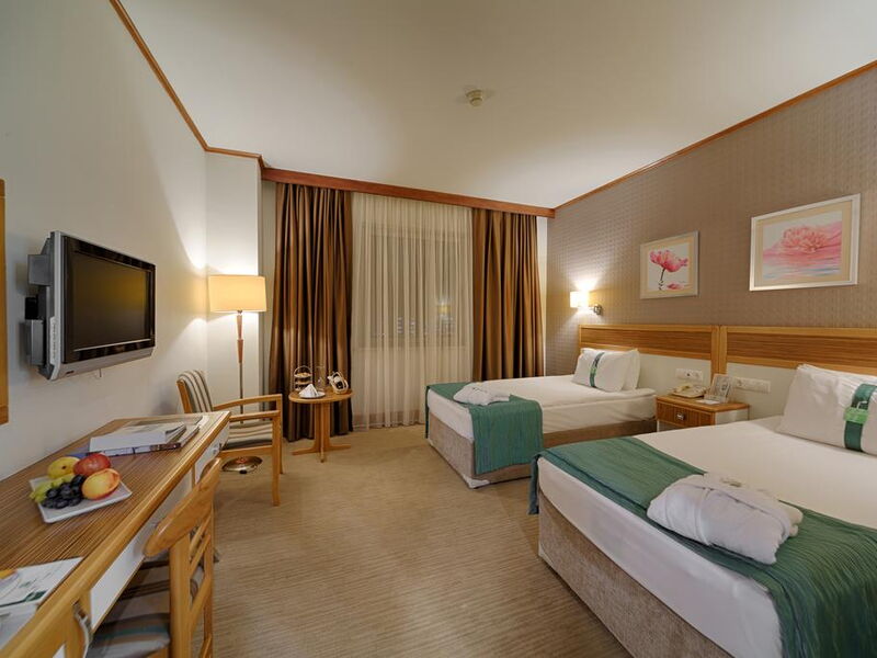 Holiday Inn Bursa 185955