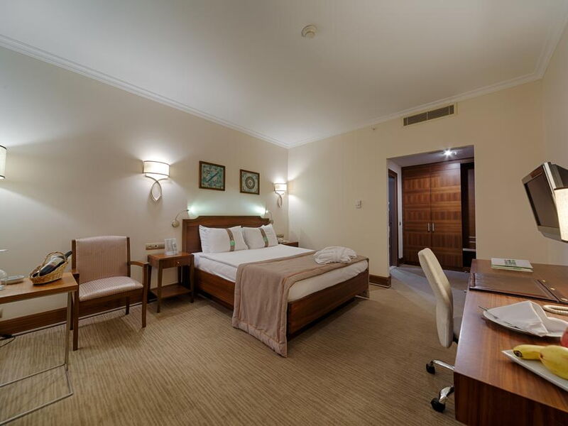 Holiday Inn Bursa 185956