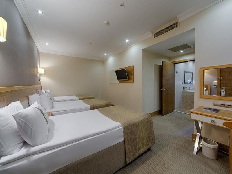 Holiday Inn Bursa 185958