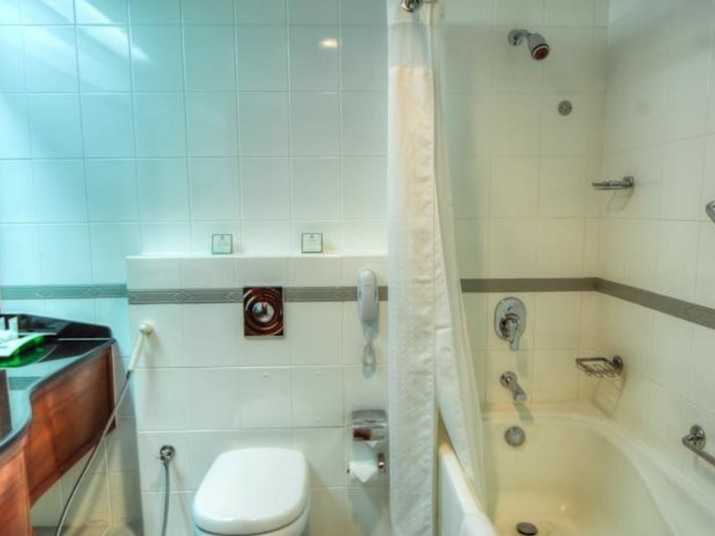 Holiday Inn Down Town 132526