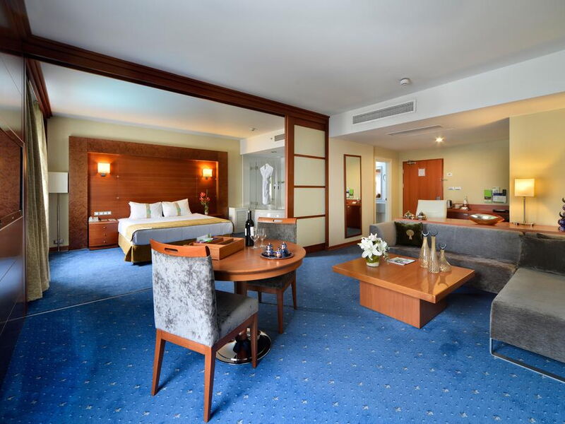 Holiday Inn Istanbul City 272197