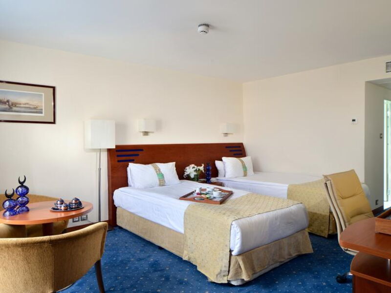 Holiday Inn Istanbul City 272203
