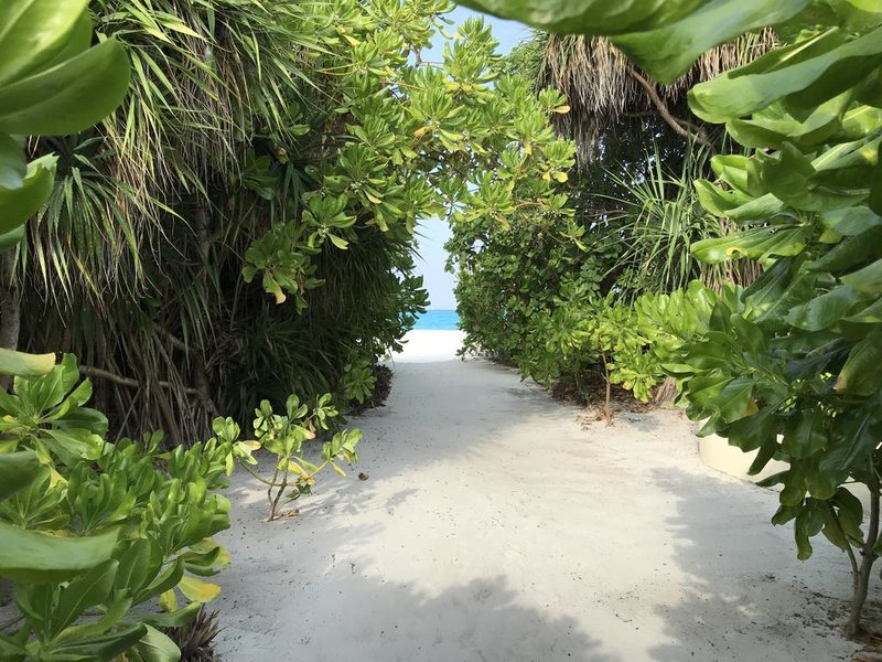 Hondaafushi Island Resort 324898