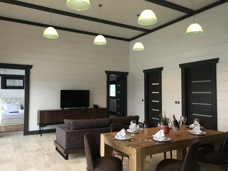 Hot Springs Medical and SPA 316134