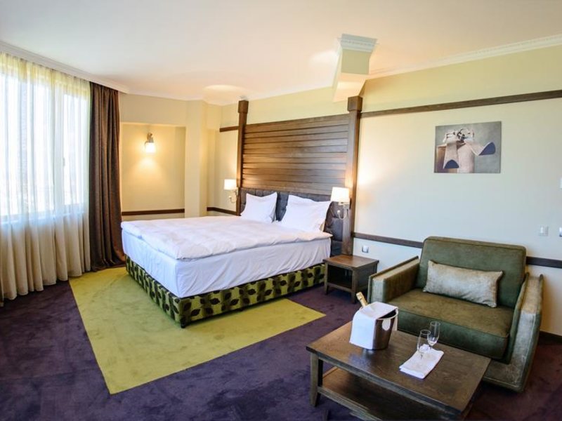 Hot Springs Medical and SPA 316141