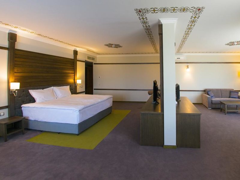 Hot Springs Medical and SPA 316144