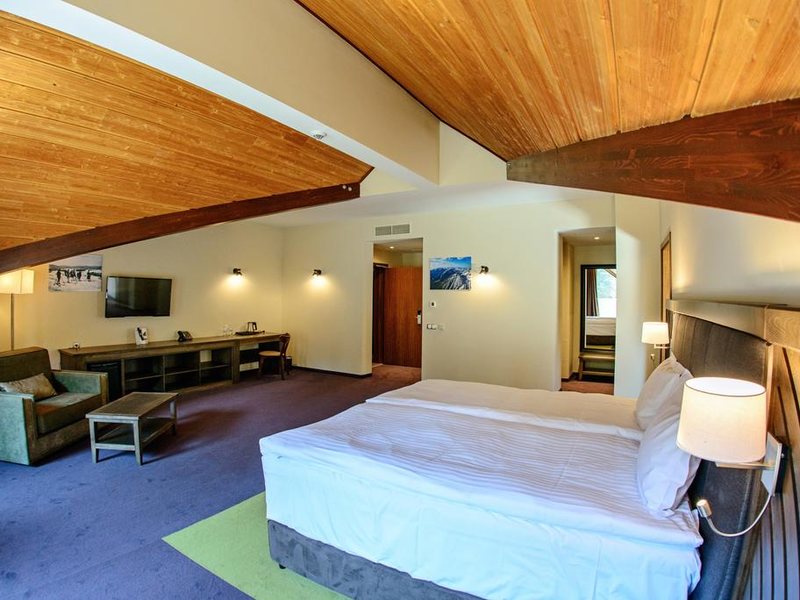 Hot Springs Medical and SPA 316153