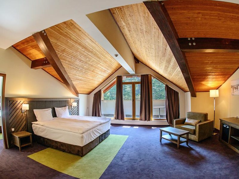 Hot Springs Medical and SPA 316154