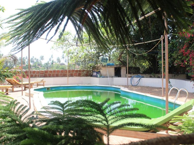 Hotel Ashoka King 235094