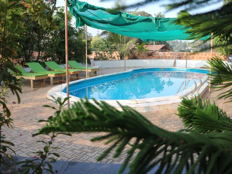 Hotel Ashoka King 235096