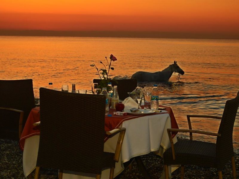 Hotel Berke Ranch&Nature   271230