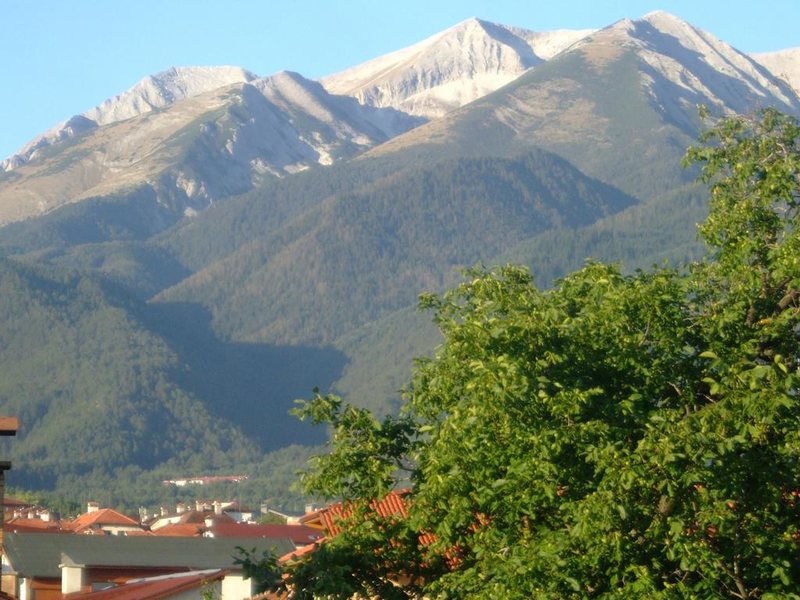 Hotel Bisser (Bansko) 236062