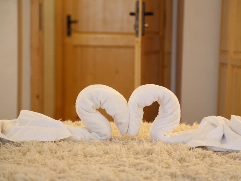 Hotel Bisser (Bansko) 236063