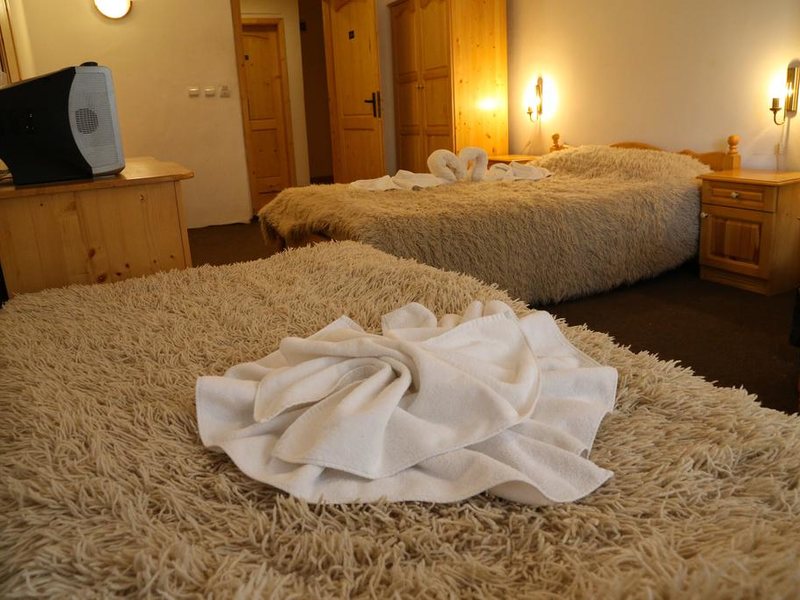 Hotel Bisser (Bansko) 236066