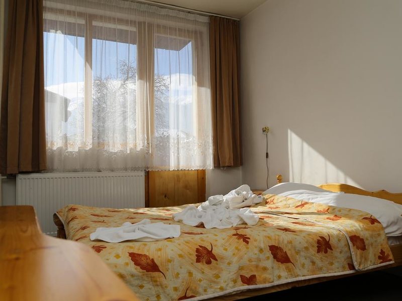 Hotel Bisser (Bansko) 236069