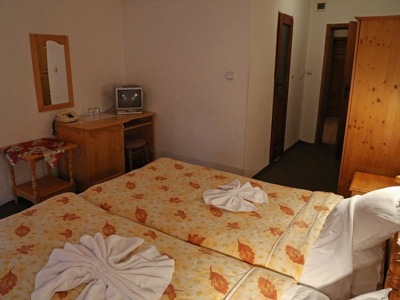 Hotel Bisser (Bansko) 236071