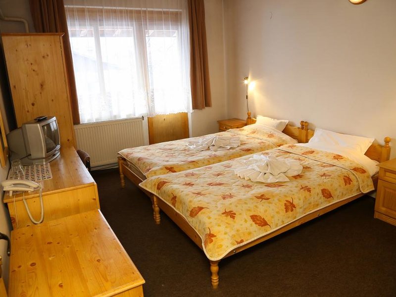Hotel Bisser (Bansko) 236078