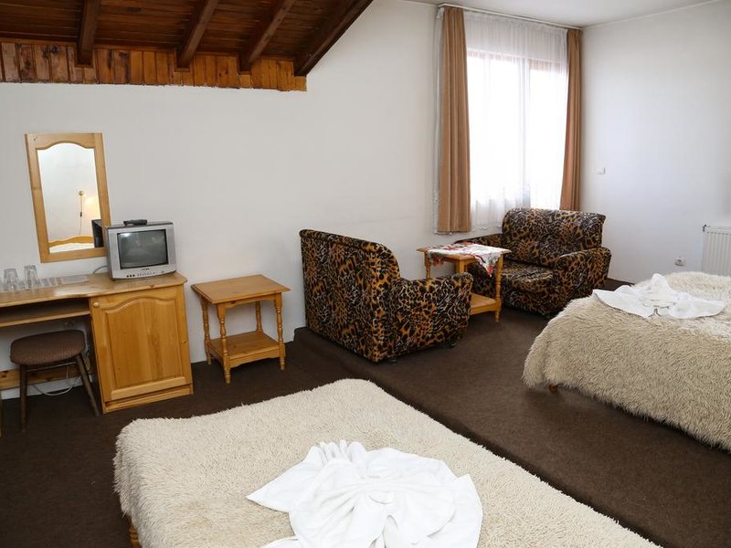 Hotel Bisser (Bansko) 236087