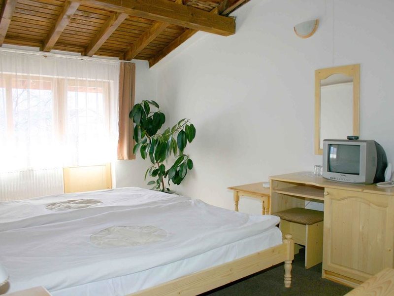 Hotel Bisser (Bansko) 236090