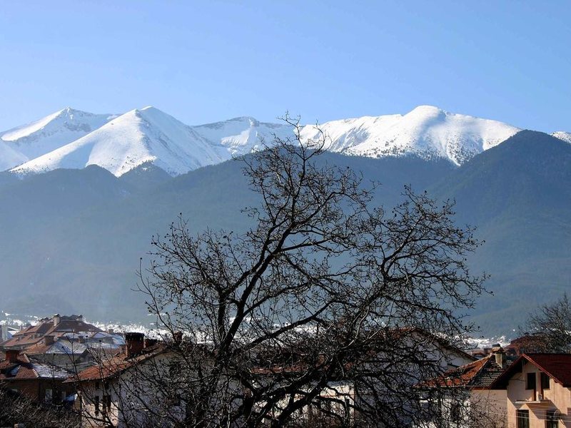 Hotel Bisser (Bansko) 236091