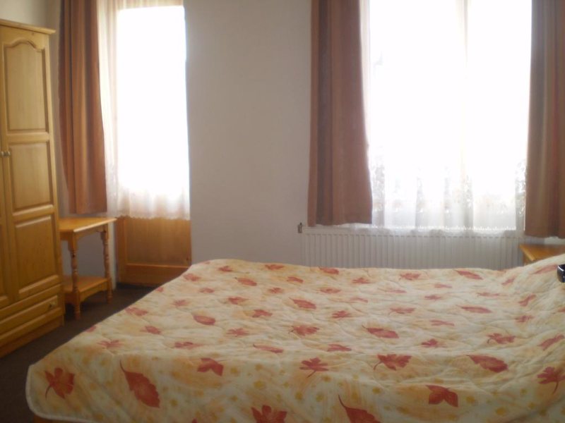 Hotel Bisser (Bansko) 236095