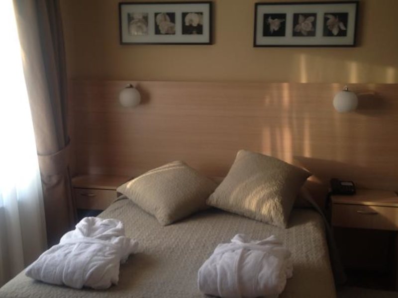 Hotel Buyuk Sahinler 91293