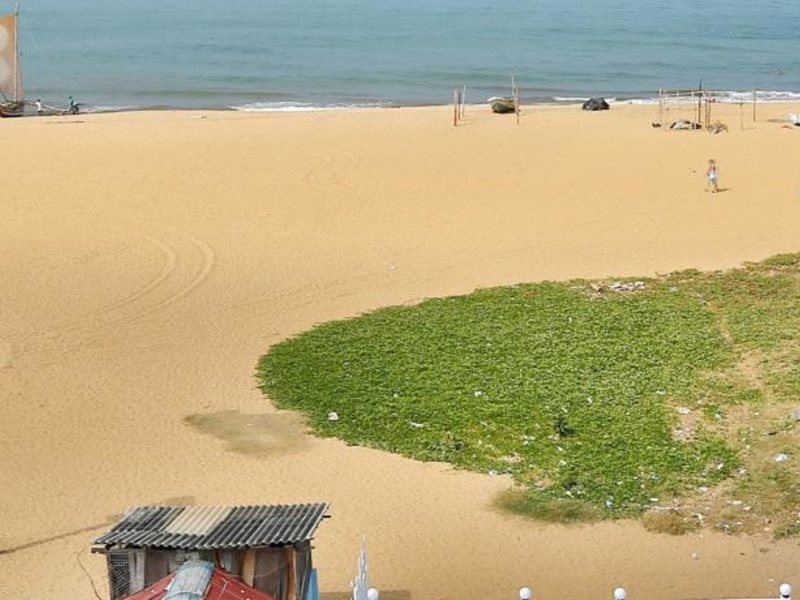 Hotel C Negombo 131147