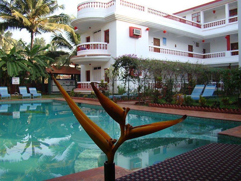 Hotel Cary’s	 114457