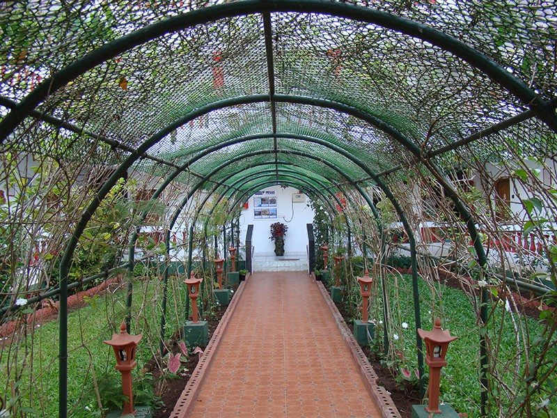 Hotel Cary’s	 114460